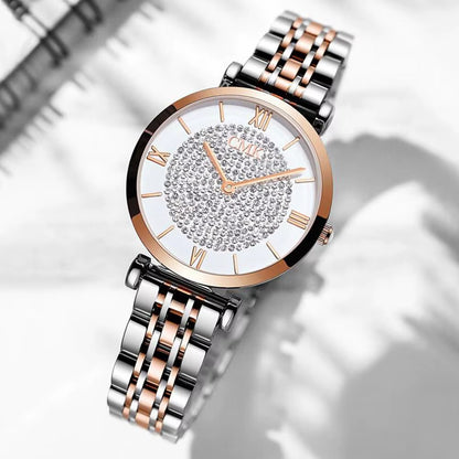 Luxury Women Watches Simple Elegant Ladies Watch Zegarek Damski Stainless Steel Metal Women'S Wrsiwtwatch Relogio Feminino Saati